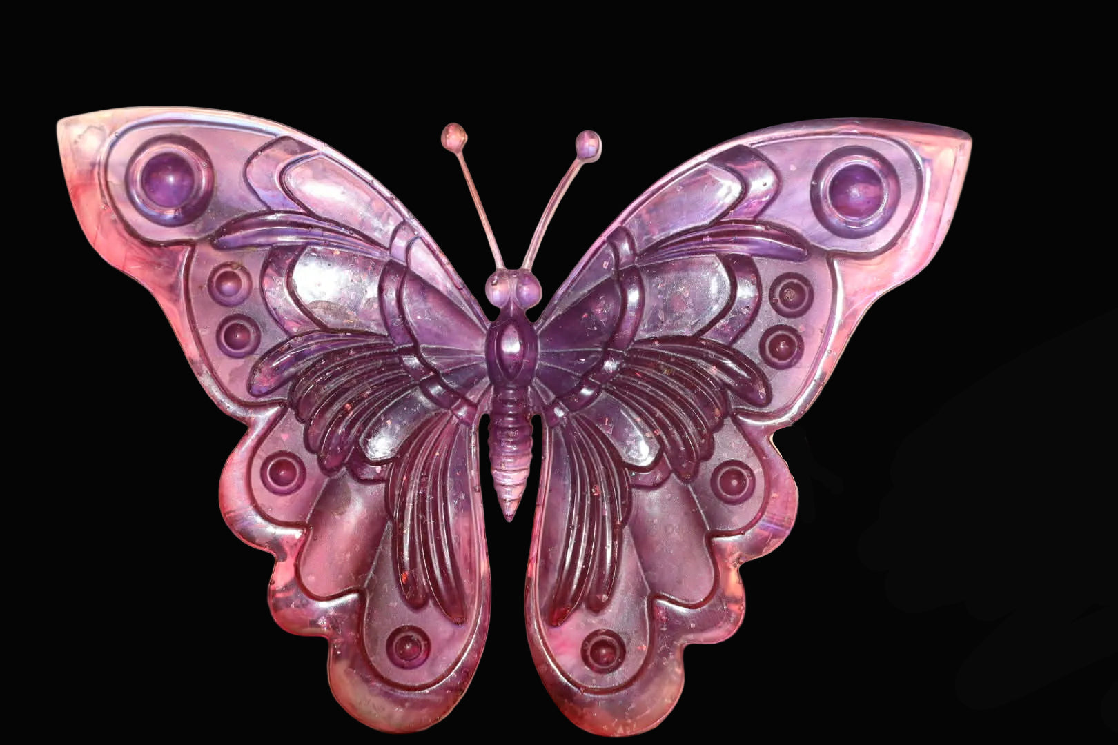 Butterflies & Nature