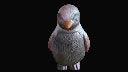 Handmade Penguin – Orange/Blue